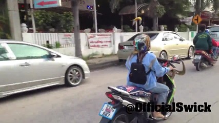 Папагал лети и ескортира маце с мотор!