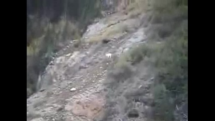 Amazing Us Sniper Shot Goat - Keeps On Rolling.avi