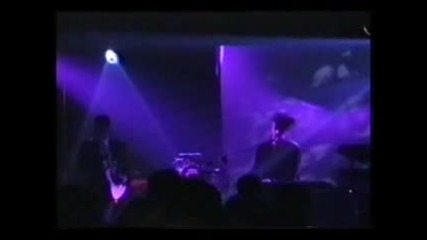 The Frozen Autumn - Painted Girls (live)