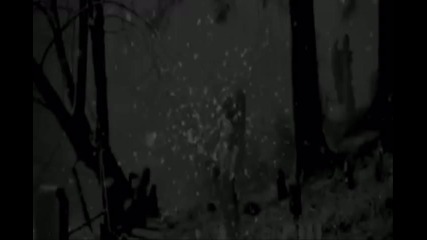 Stefan and Elena - When i look at you