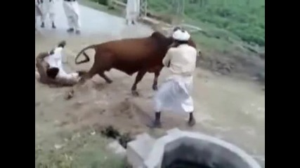 Кунг фу крава