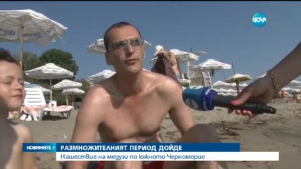 Нашествие на медузи по южното ни Черноморие