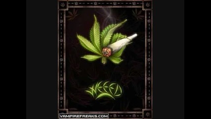 Snoop Dogg - Smoke weed everyday 