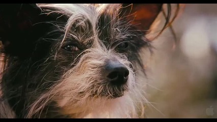 Hotel For Dogs Hd Trailer