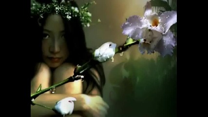 Saskia Sansom - Let Your Dreams Walk Everywhere