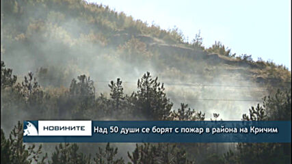 Над 50 души се борят с пожар в района на Кричим