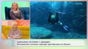 Забранени истории с Джуджи | Бреговете на остров Йонагуни | На кафе | 4 март 2026