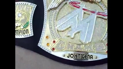 W W E Championship belt 
