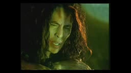 Amy Search