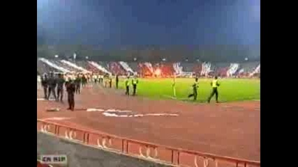 Cska Sofia Hooligans Army