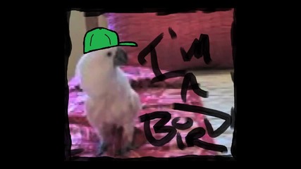 I'm A Bird Motha' F_____ Remix!!