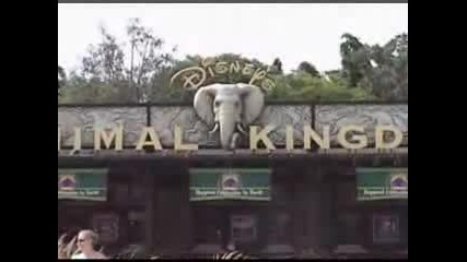 Disney Vacation