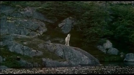 Never Cry Wolf • Music by Mark Isham