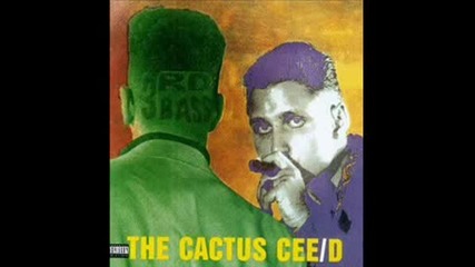 3rd Bass - Product Of The Environment