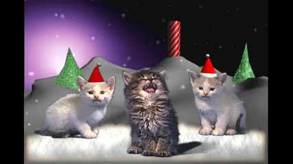Коледни котета 