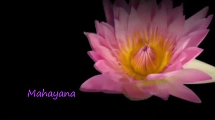 Красотата на Лотуса - Mahayana Amazing - New age music
