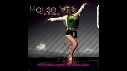 Elektro house music 2009