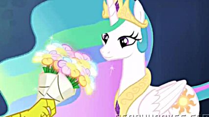 My Little Pony Friendship is Magic Let the Rainbow Remind You