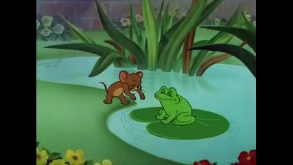 [hq] Tom and Jerry [hq]