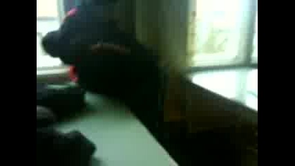 Mn Ludi