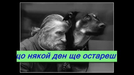 10-те молитви на кучето