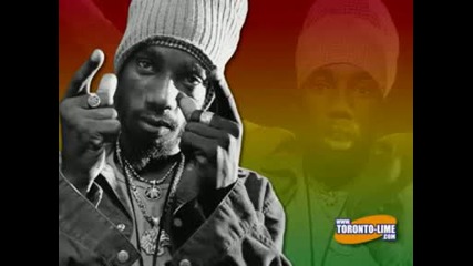 Sizzla - pay to learn