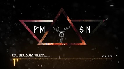 Dubstep™ Lights Over Paris - I'm Not a Gangsta