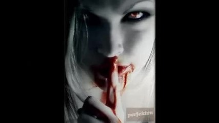 .wmv 
