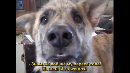 Говорещото куче (български субтитри)