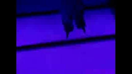 Terranova - Real Thing