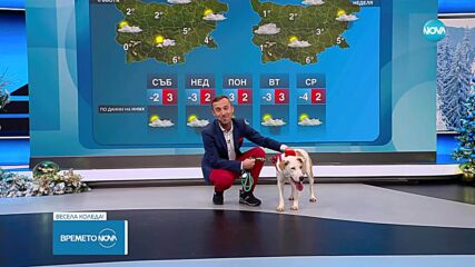 „Време за надежда“ Николай Василковски търси любящ дом за Кая