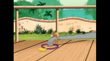 Tom and Jerry Истории