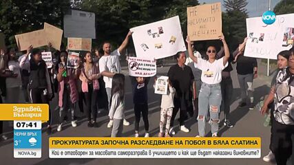 Кой е отговорен за побоя в училището в Бяла Слатина