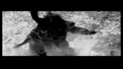 Deeds Of Flesh - Crown Of Souls