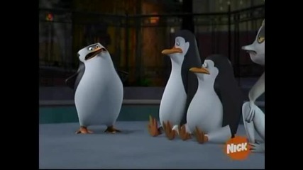 The Penguins of Madagascar - Misfortune cookie