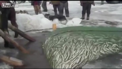 Как се вади риба в Русия