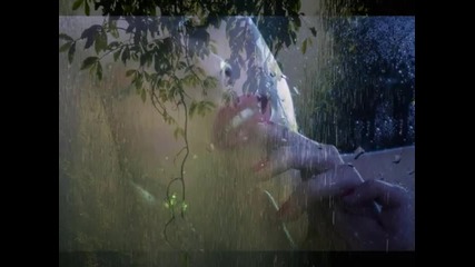 Jesse Cook-down Like Rain