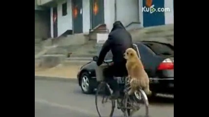 На аванта всеки би искал. !