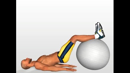 Elevacion de la pelvis en el suelo con pilates balon pelota ( piernas - trasero ) 