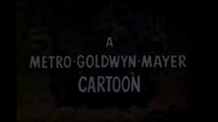 Tom and Jerry - 125 - Sorry Safari