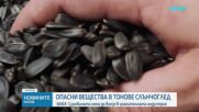 Откриха опасни вещества в тоновете слънчоглед, пристигнали с кораби от Аржентина