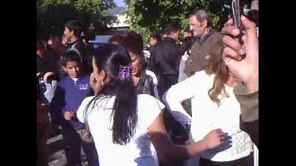 sabor sheinovo 2011