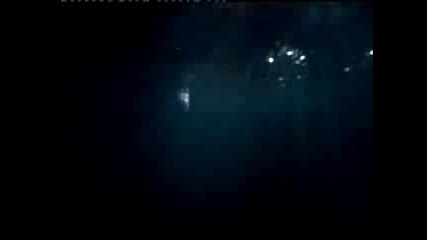 Bella jumping off the cliff New Moon
