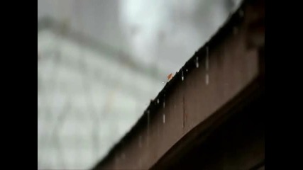 Brando - Rainy Day (1983) 