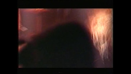 Therion - A black rose (by Natrex) 