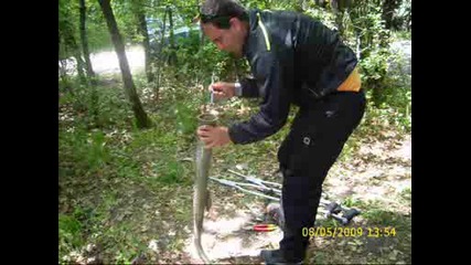 sabor2009.wmv