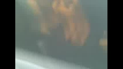 Opel Gs