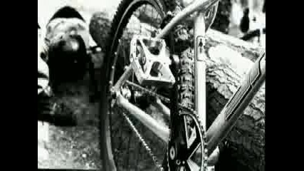 Trial Bike V Gora