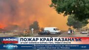 Голям пожар край Казанлък: Огънят изпепели борова гора, треви и храсти