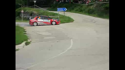 Рали Вида 2009
